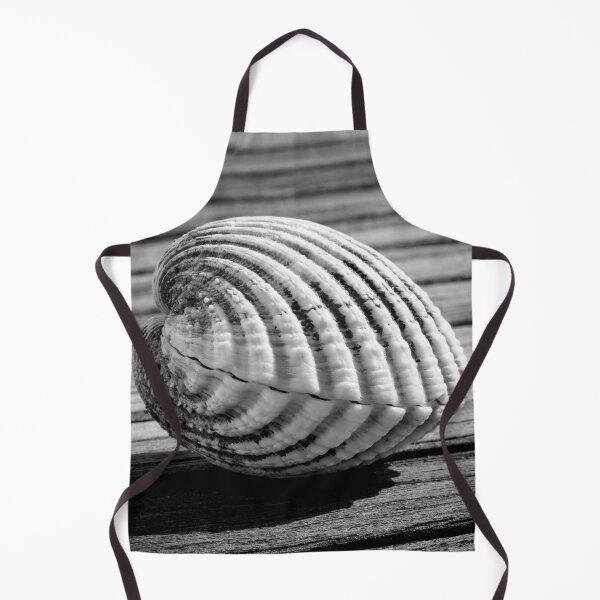 Item preview, Sea shell on wood designed and sold by Dave Hare Photography.