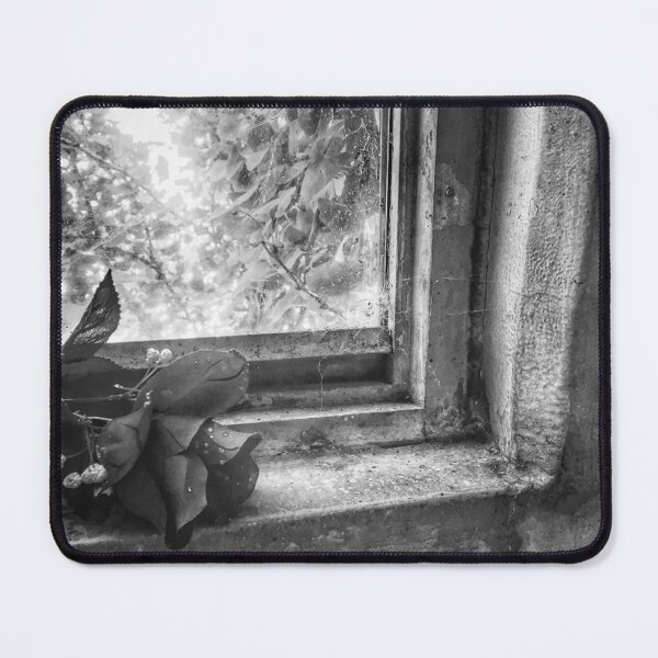 Item preview, Rose in Window 3 (B&W) designed and sold by mkmfeagler.