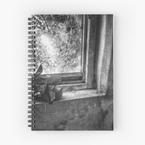 Item preview, Rose in Window 3 (B&W) designed and sold by mkmfeagler.