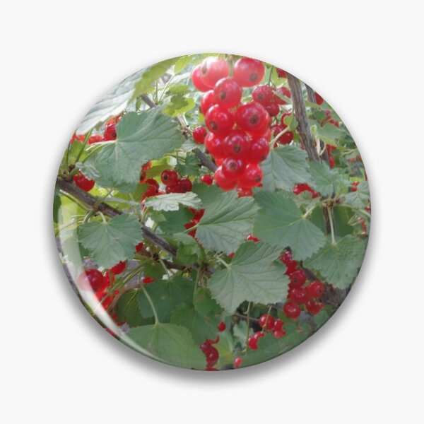 Item preview, Red currants designed and sold by Ana Belaj.