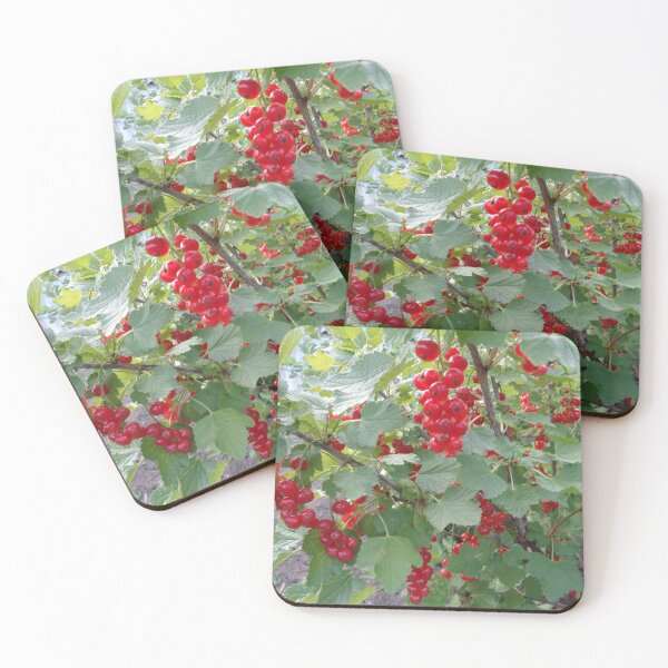 Item preview, Red currants designed and sold by Ana Belaj.