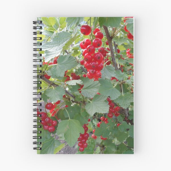 Item preview, Red currants designed and sold by Ana Belaj.
