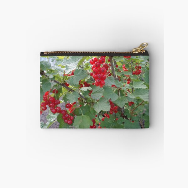 Item preview, Red currants designed and sold by Ana Belaj.