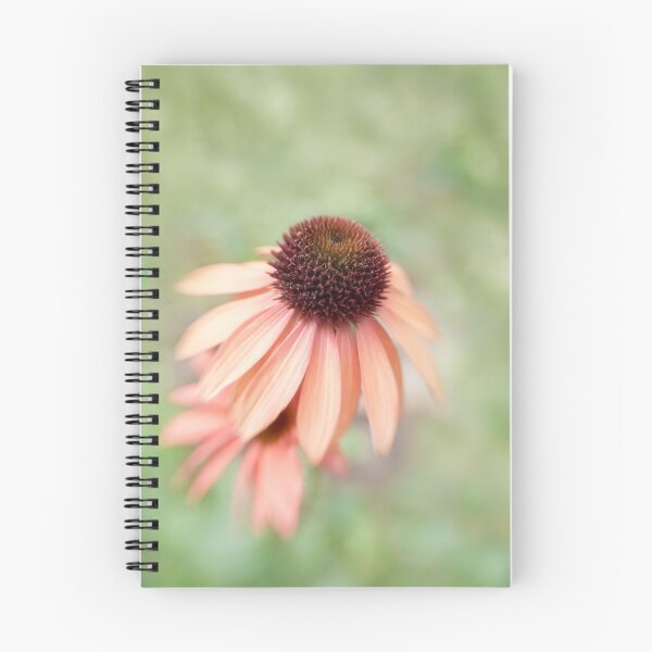 Item preview, Echinacea designed and sold by Ellesscee.