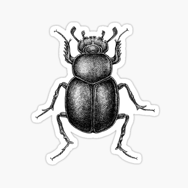 Scarab Beetle Sticker