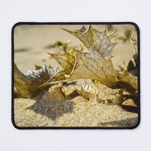 Item preview, Desert Flowers designed and sold by NunoPires.