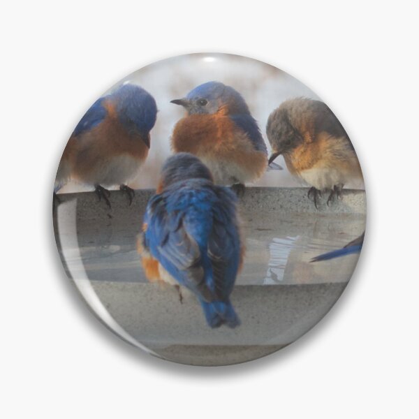 Item preview, BLUE BIRD BATH BONANZA designed and sold by THE AMERICAN TEEVANGELIST.