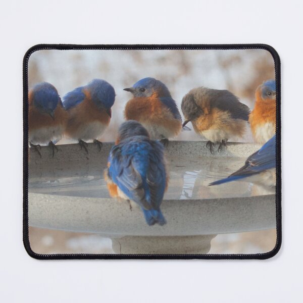 Item preview, BLUE BIRD BATH BONANZA designed and sold by THE AMERICAN TEEVANGELIST.