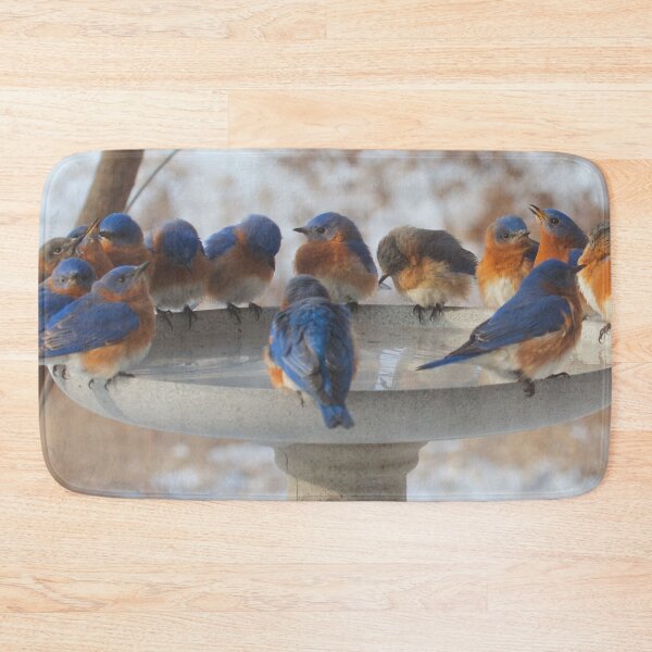 Item preview, BLUE BIRD BATH BONANZA designed and sold by THE AMERICAN TEEVANGELIST.