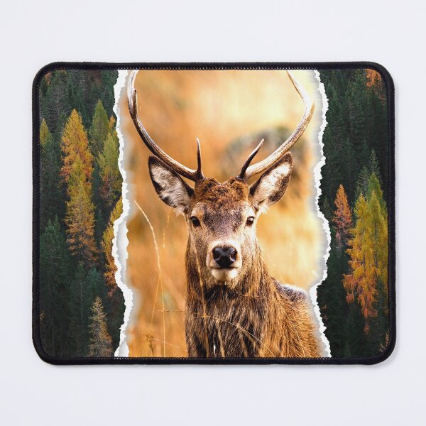 Item preview, Deer in the forest designed and sold by Shawa Shop.