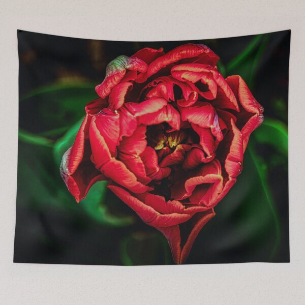 Item preview, One More Snooze designed and sold by Steve Walser.
