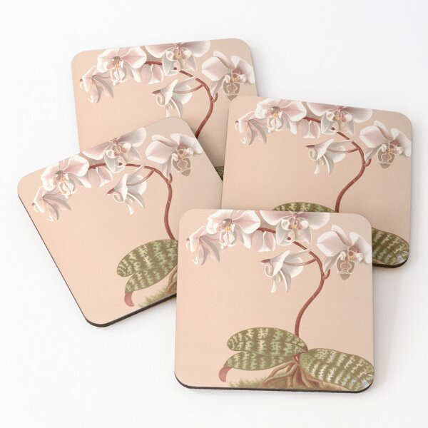 Item preview, Phalenopsis Schilleriana - Orchid  designed and sold by redoARTstore.