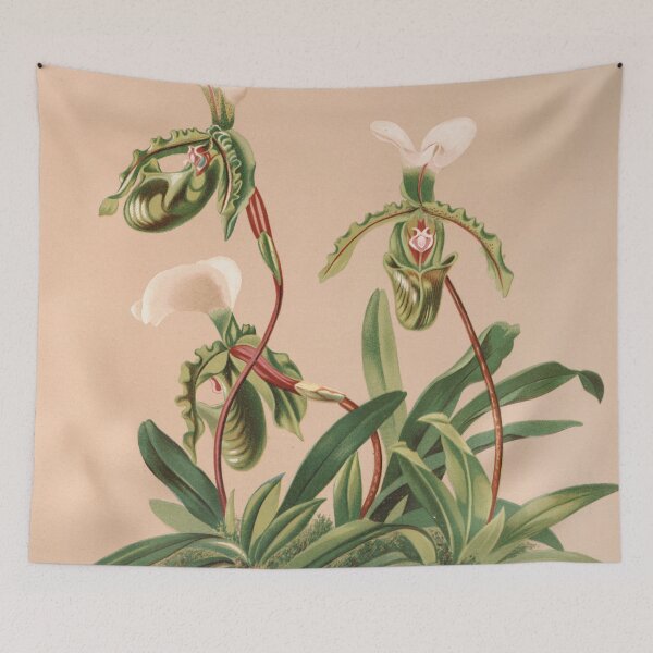 Item preview, Cypripedium Spicerianum - Orchid  designed and sold by redoARTstore.