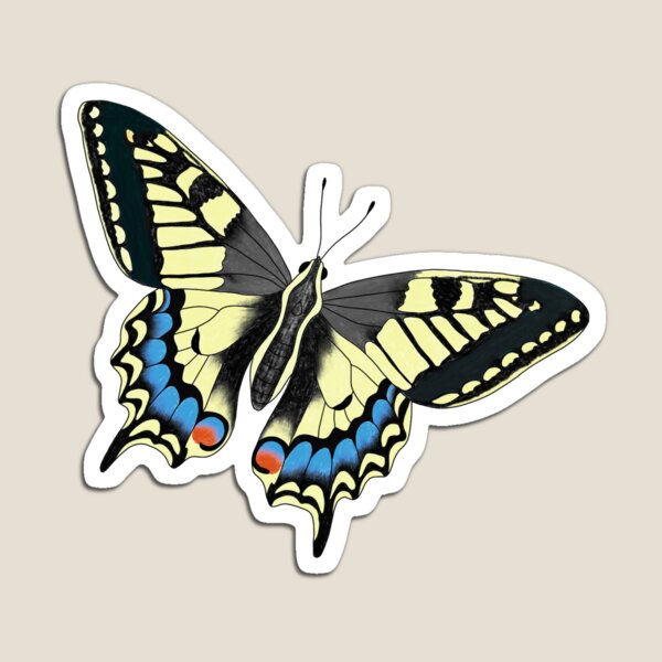 Artikel-Vorschau von Schwalbenschwanz der Alten Welt (Papilio machaon), designt und verkauft von StudioRedKite.