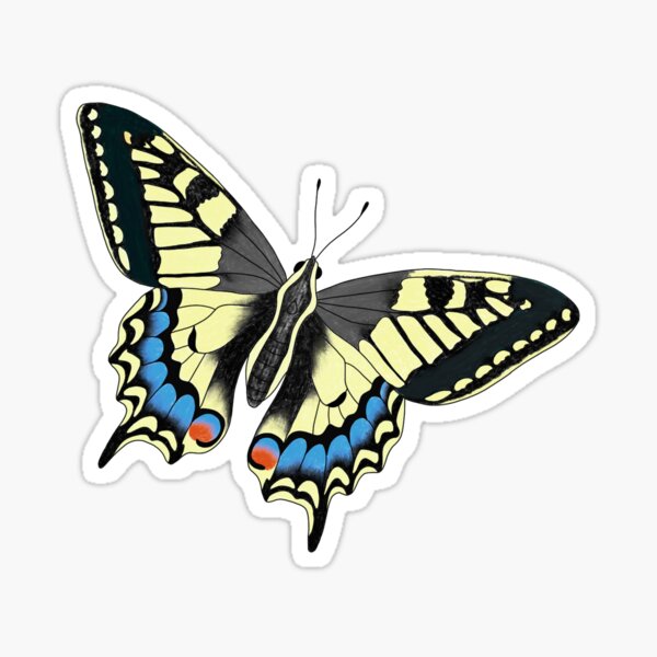Item preview, Old World swallowtail (Papilio machaon) designed and sold by StudioRedKite.