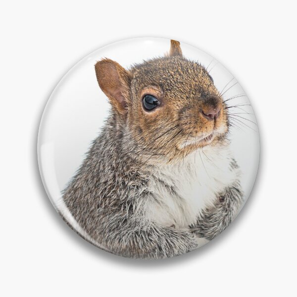 Item preview, Nutty designed and sold by Valerie Rosen Photography.