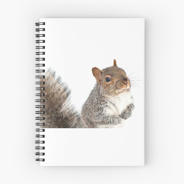 Item preview, Nutty designed and sold by Valerie Rosen Photography.