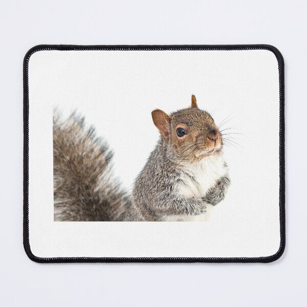 Item preview, Nutty designed and sold by Valerie Rosen Photography.