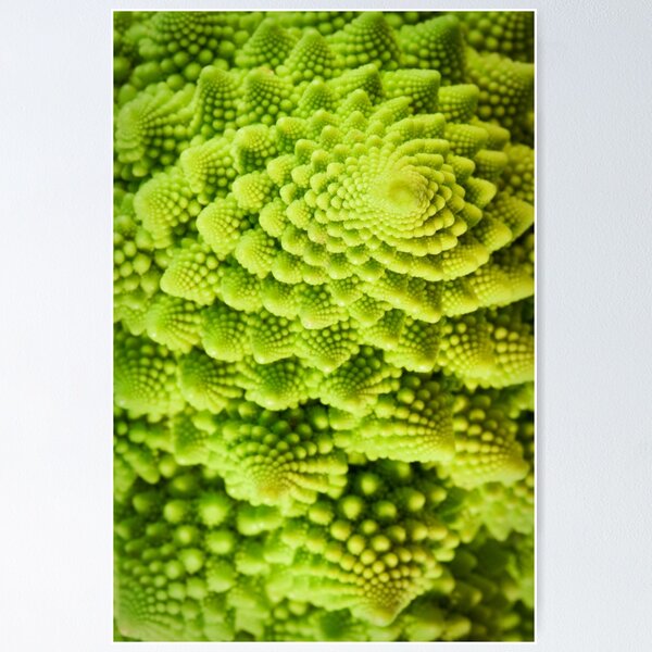 Item preview, Romanesco designed and sold by BlaizerB.