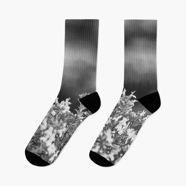 Artikelvorschau, Weiße Blüten - B & W. entworfen und verkauft von NunoPires.