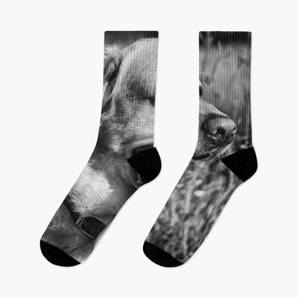 Item preview, Hot Dog - B&W designed and sold by NunoPires.