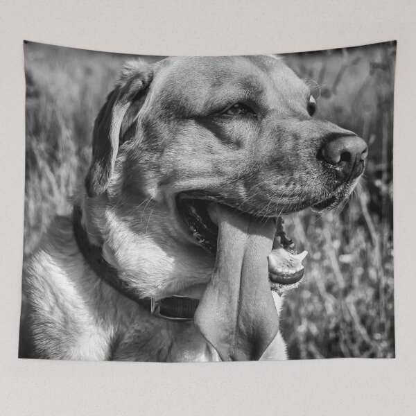 Item preview, Hot Dog - B&W designed and sold by NunoPires.