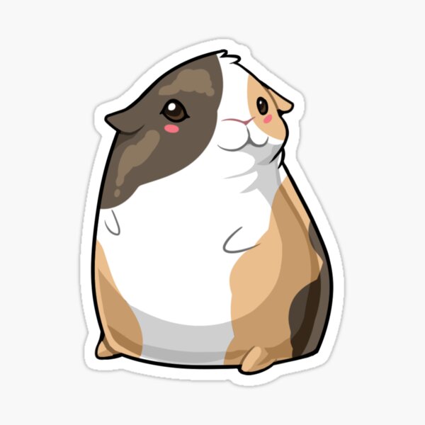guinea pig sticking out tongue Stickerundefined by Leo Tilie  Redbubble