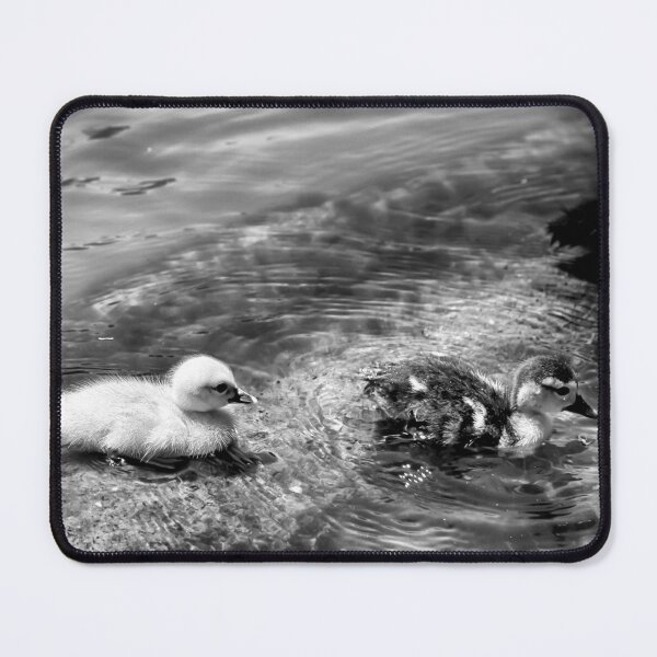 Item preview, Follow Me - B&W designed and sold by NunoPires.
