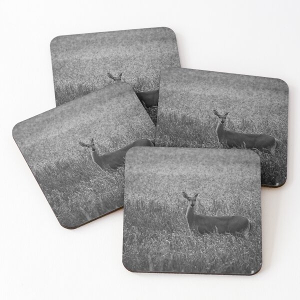 Item preview, White-tailed deer on the field at night bw designed and sold by Jouko Lehto Photography.