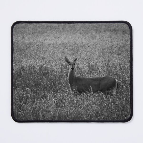 Item preview, White-tailed deer on the field at night bw designed and sold by Jouko Lehto Photography.