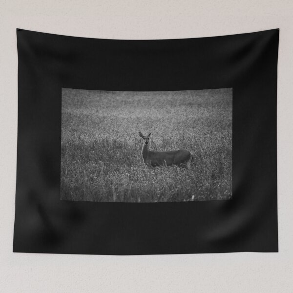 Item preview, White-tailed deer on the field at night bw designed and sold by Jouko Lehto Photography.