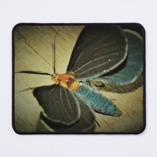 Item preview, Damp White-tipped black moth designed and sold by B. Randi Bailey.