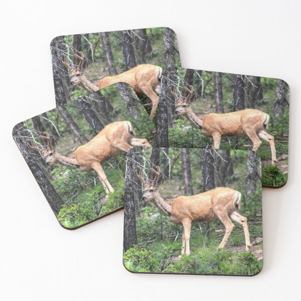 Item preview, Young buck designed and sold by zumi.