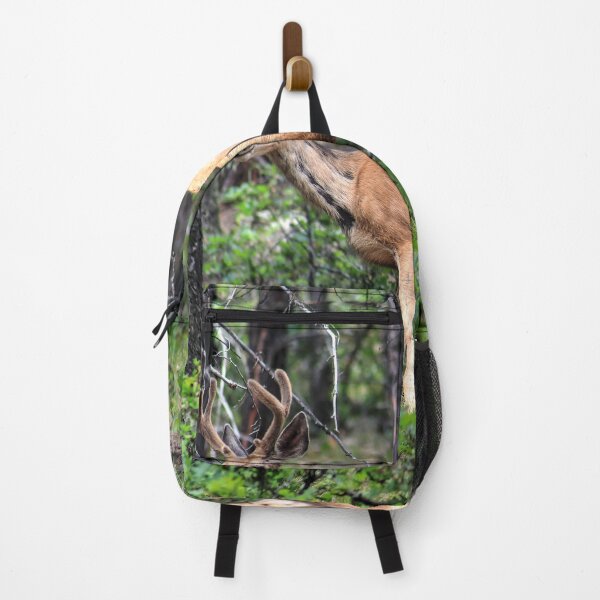 Item preview, Young buck designed and sold by zumi.