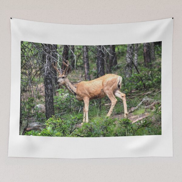 Item preview, Young buck designed and sold by zumi.