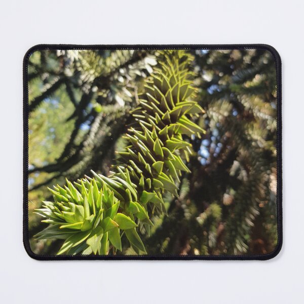 Item preview, Monkey Puzzle Tree designed and sold by LauraO31.