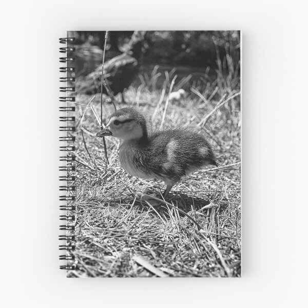 Item preview, Little Duckie II B&W designed and sold by NunoPires.