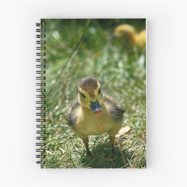 Item preview, Duckie Portrait designed and sold by NunoPires.