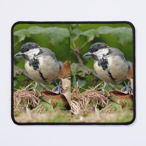 Item preview, r1473/ Super New Finition 2021- Birds  b 24 (c)(t)  by Olao-Olavia / Okaio Créations   designed and sold by o.okaïo.