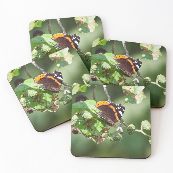 Item preview, Red admiral on black alder designed and sold by Jouko Lehto Photography.