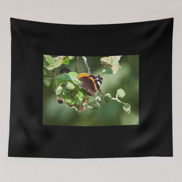 Item preview, Red admiral on black alder designed and sold by Jouko Lehto Photography.