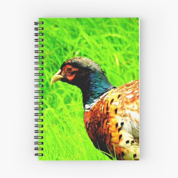 Item preview, Pheasant One designed and sold by Barnbk02.