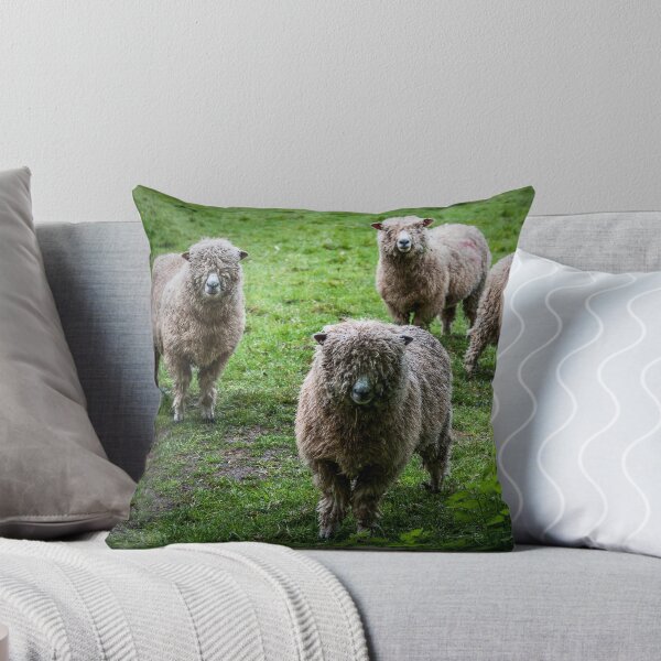 Item preview, Cotswold sheep designed and sold by LindaCooke.