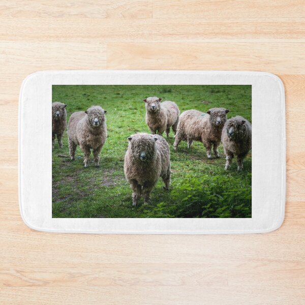 Item preview, Cotswold sheep designed and sold by LindaCooke.