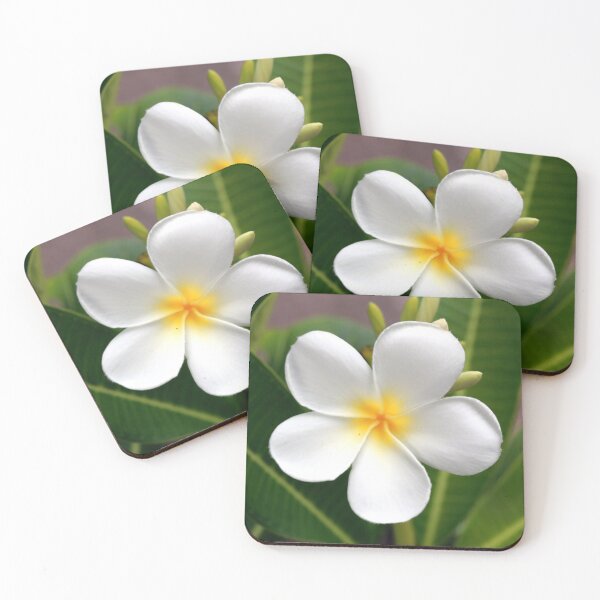Item preview, Plumeria flower designed and sold by zumi.