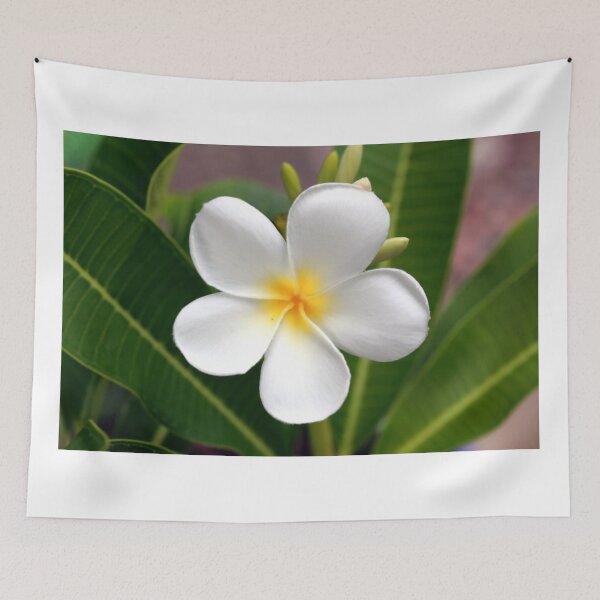 Item preview, Plumeria flower designed and sold by zumi.