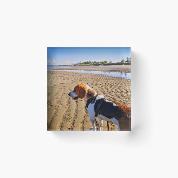 Item preview, Beach Hound designed and sold by colorfulbundles.