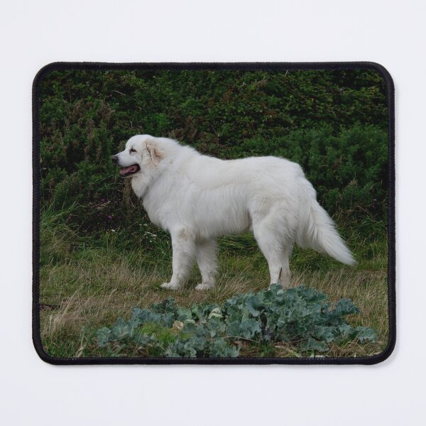 Item preview, Big Whit Dog Smiling designed and sold by GingerMan2550.