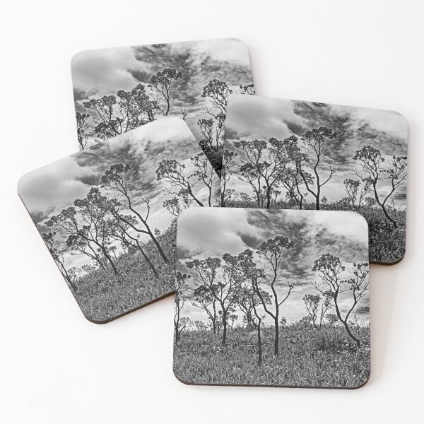 Item preview, Thin-branched trees and low vegetation on a cloudy day in the sky at the Cerrado of Minas Gerais, Brazil. designed and sold by vbacarin.