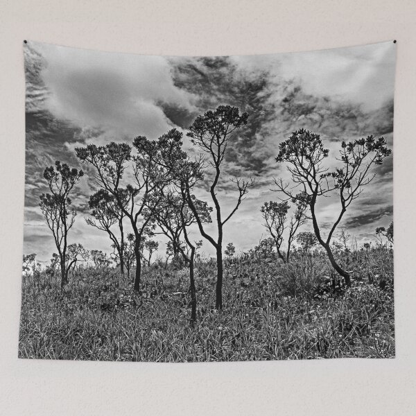 Item preview, Thin-branched trees and low vegetation on a cloudy day in the sky at the Cerrado of Minas Gerais, Brazil. designed and sold by vbacarin.